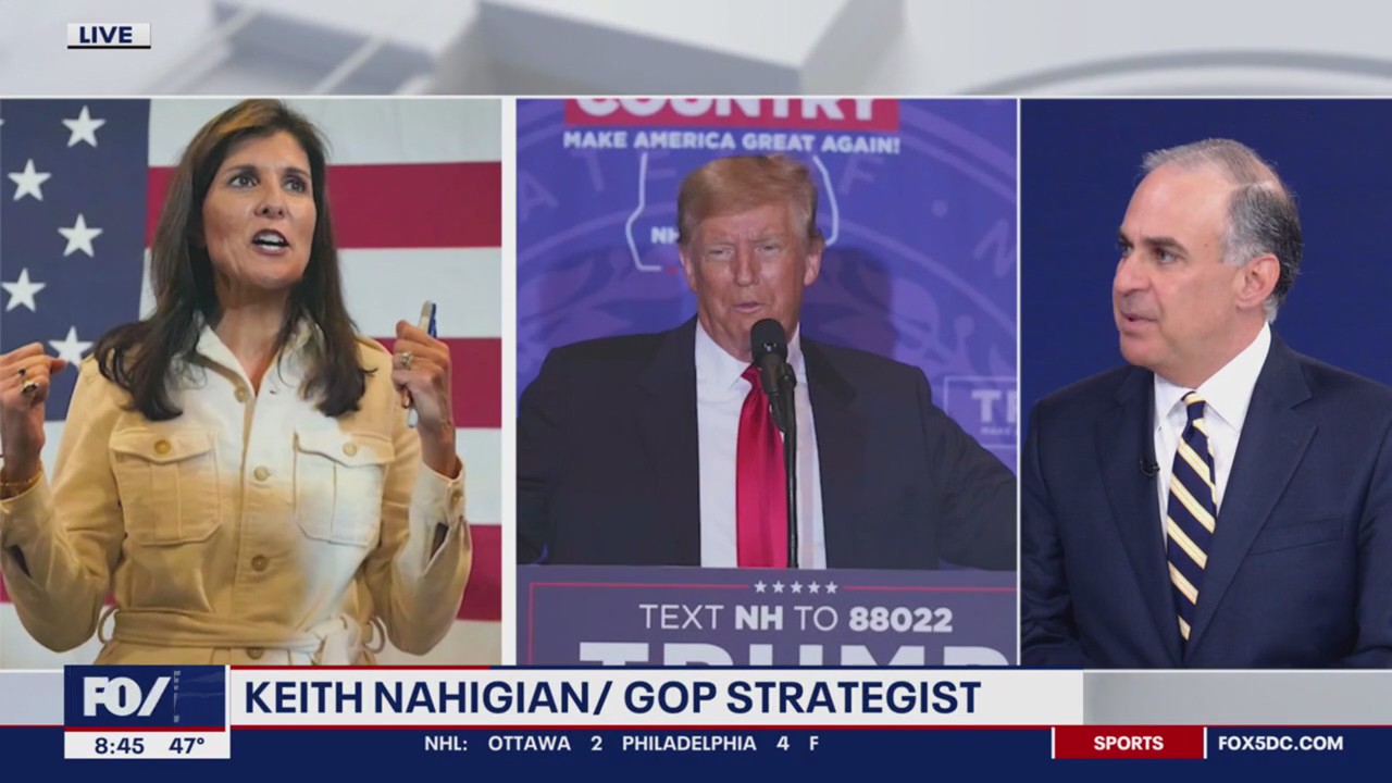 GOP strategist shuts down Nikki Haley third-party ticket chatter