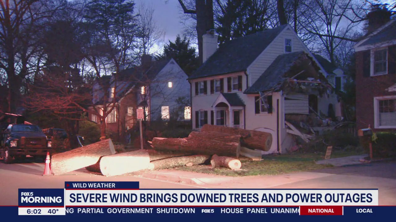 Strong winds down trees, power lines across DC region; Wind Advisory ...