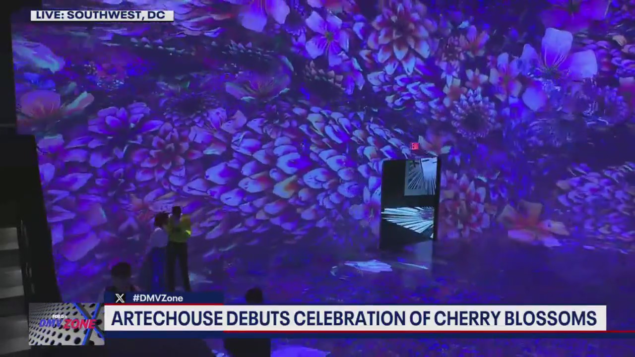 ARTECHOUSE DC celebrates Cherry Blossom season with new immersive experience