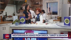 Zaytinya Restaurant: Delicious Mediterranean dishes from Greece, Turkey, and Lebanon