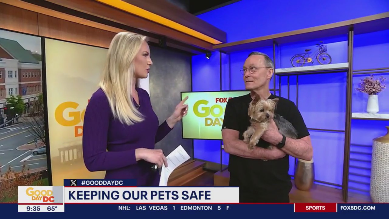 Keeping our pets safe on National Pet Day