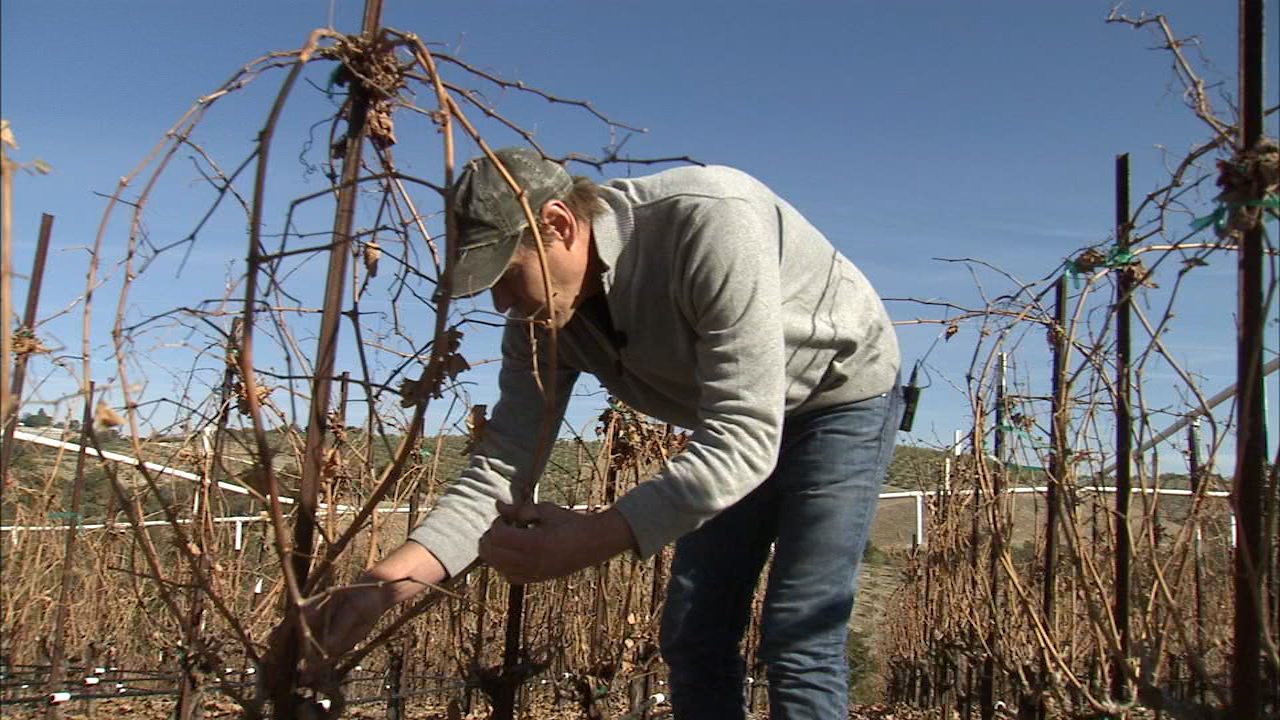 Terry Hoage talks about his winery
