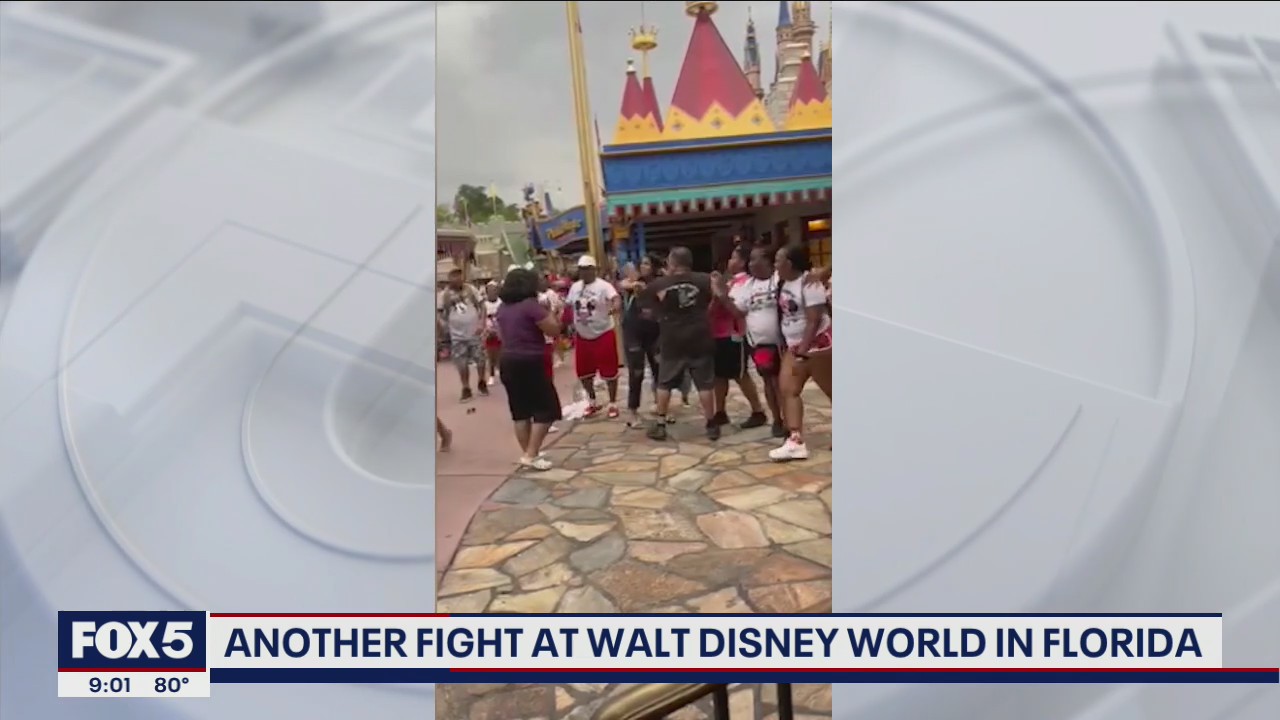 Disney World Brawl