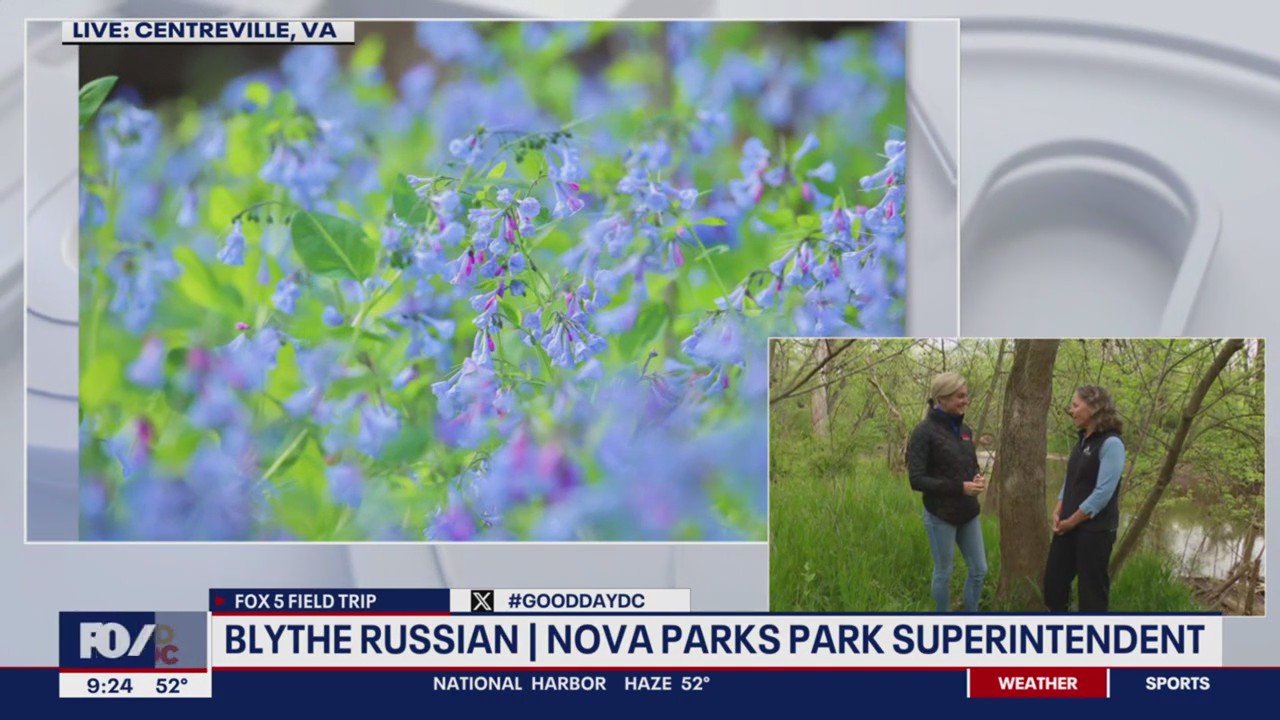 What there is to offer at Bull Run Regional Park