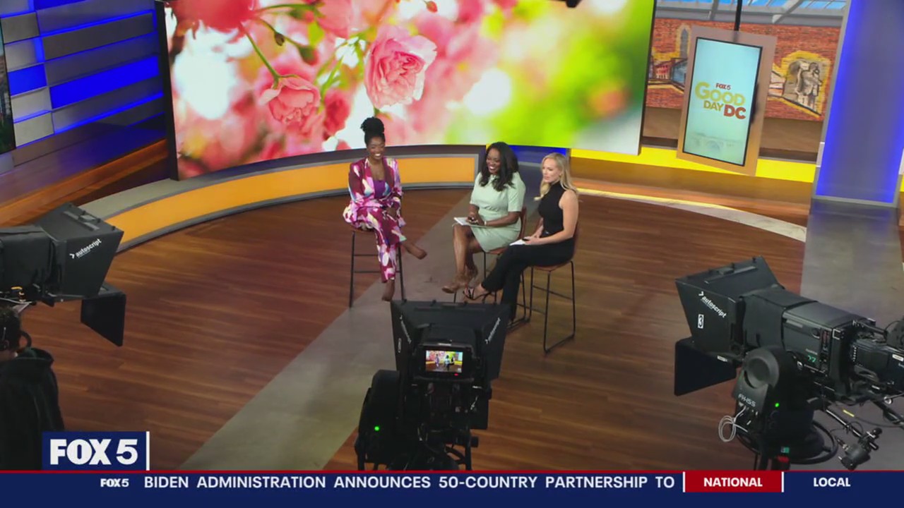 Pause & protect your assets: what to consider before entering joint partner agreements