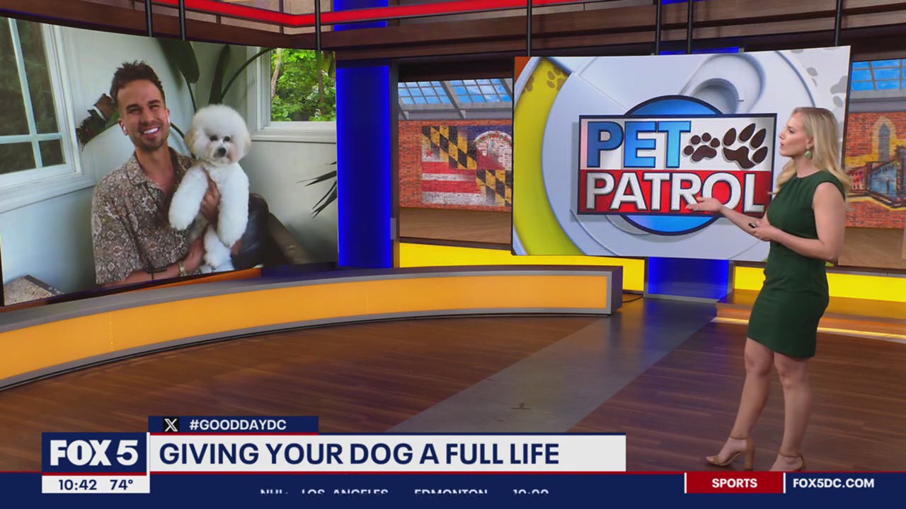 Giving your dog a full life