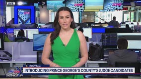 Breaking down the Boy Scouts of America rebrand to 'Scouting America'