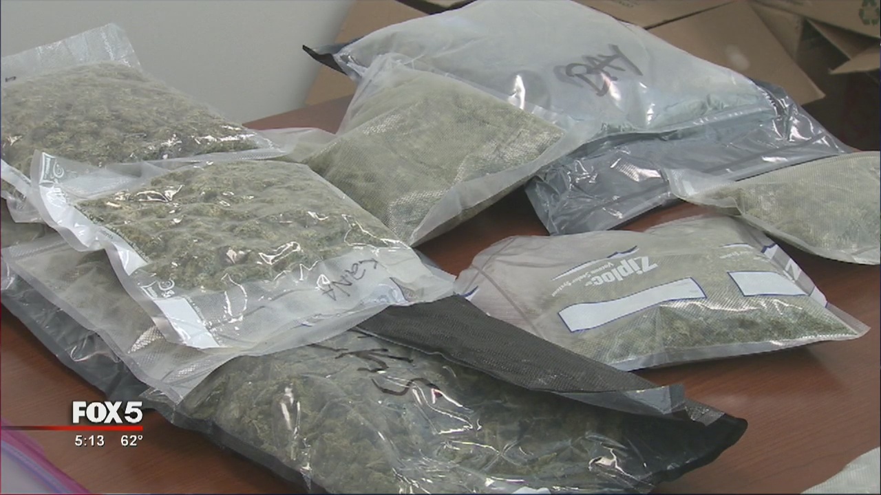 Massive marijuana bust in Douglas County | FOX 5 Atlanta