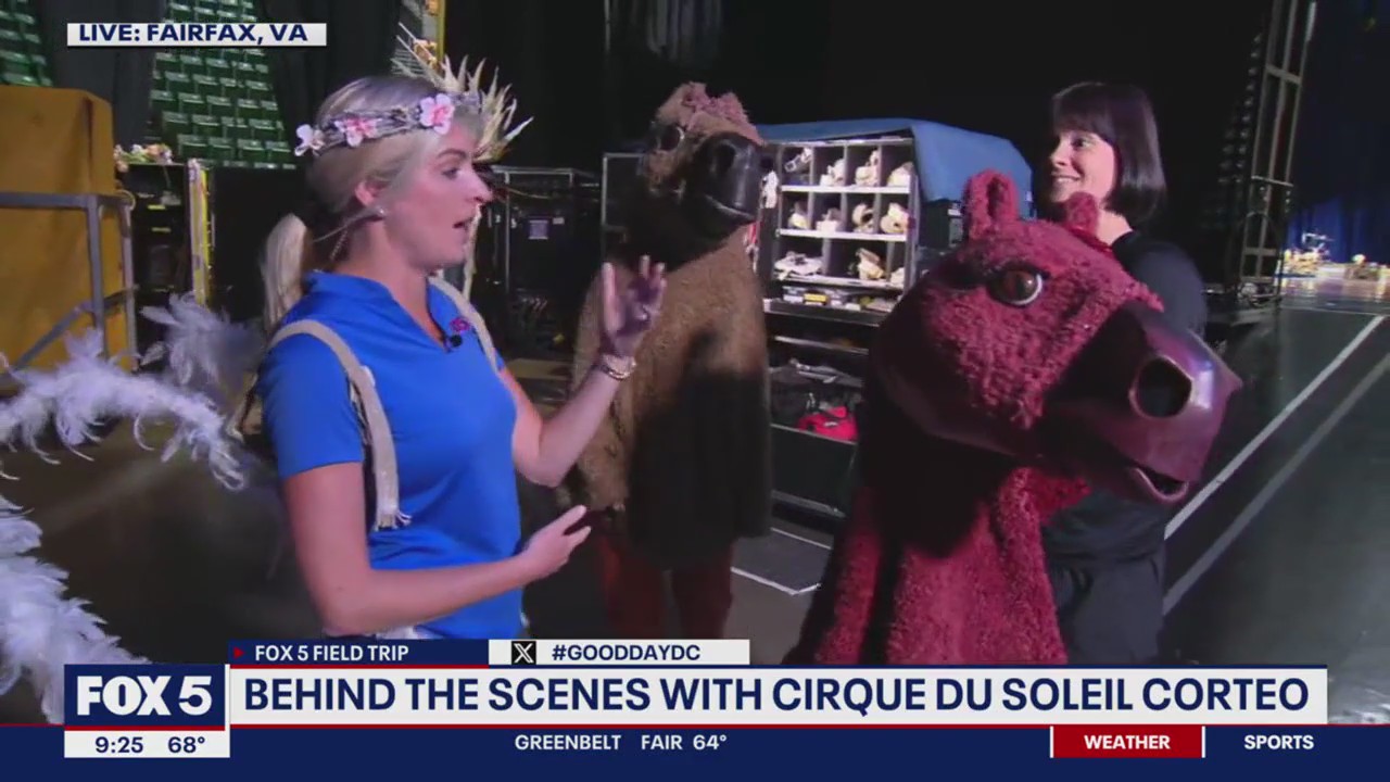 Cirque du Soleil's Corteo is coming to Virginia