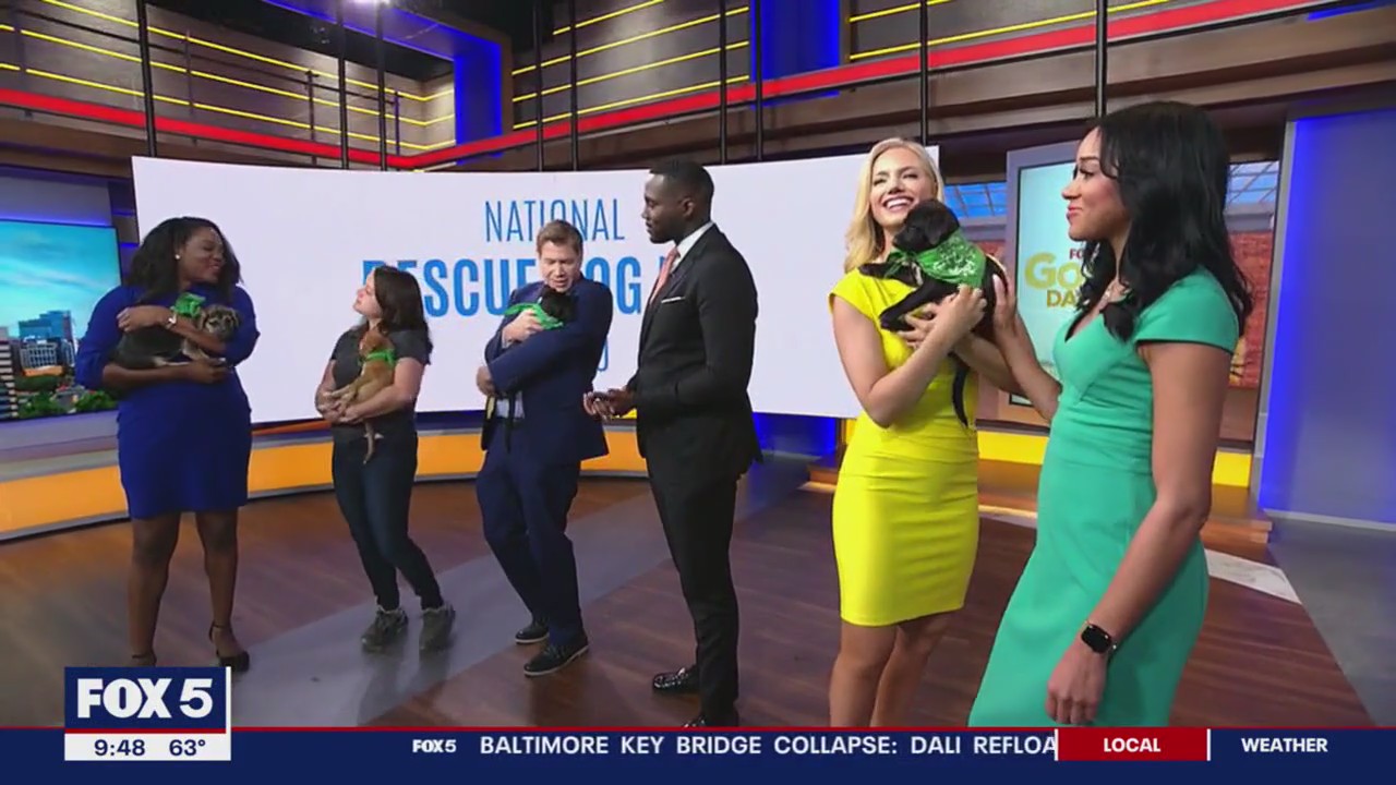 National Rescue Dog Day with Lucky Dog Animal Rescue