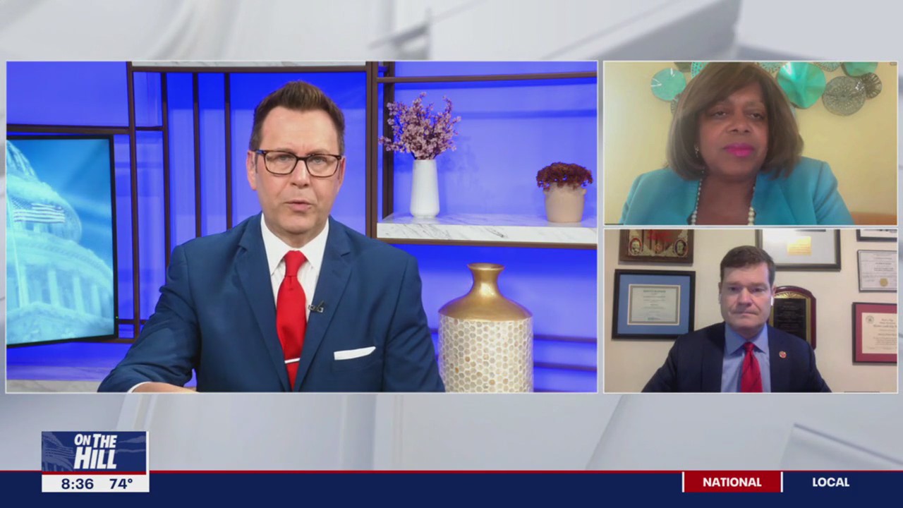 Previewing the DC primary elections