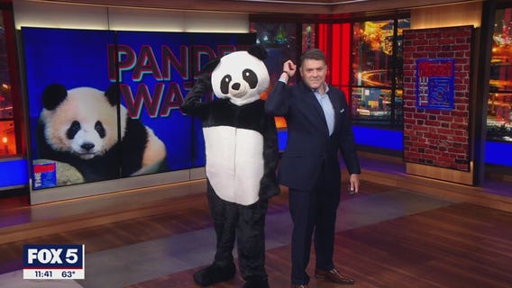 Panderwatch! DC set to get two new pandas from China