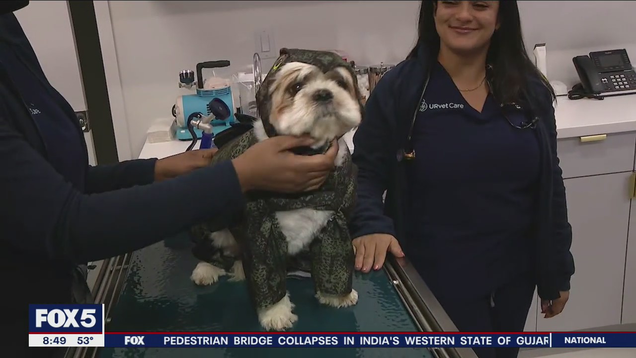 New healthcare facility for pets in NYC