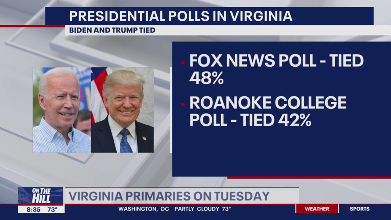 Voters gear up for Virginia primaries on Tuesday