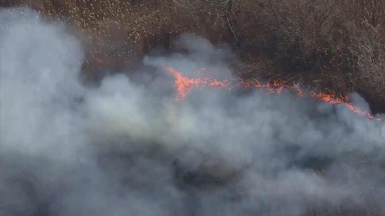 Brush fire burning in Marine Park, Brooklyn
