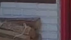 2Fifty Bbq Meats & Sides