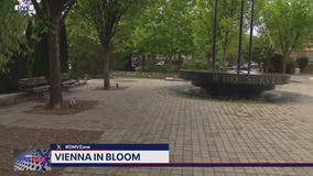 Vienna in bloom after unveiling new landscaping design