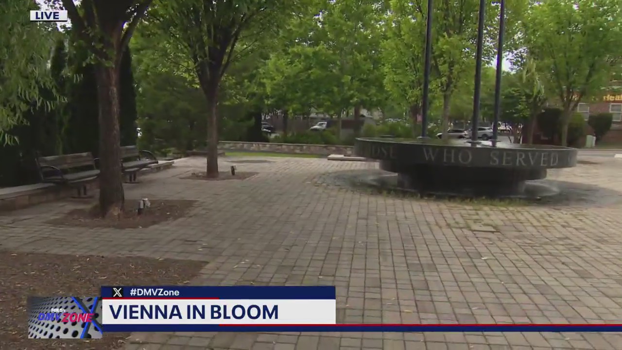 Vienna in bloom after unveiling new landscaping design