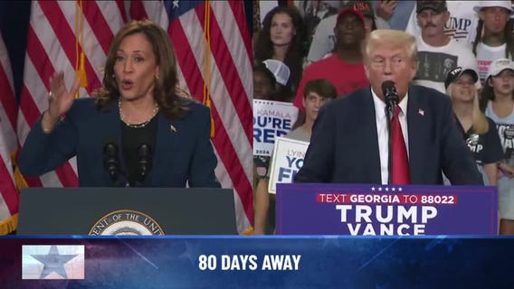 Pocketbook Politics: How Swing State Wallets May Decide 2024