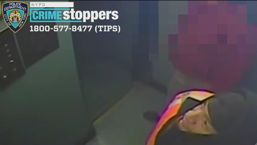 NYPD seek home invasion suspects