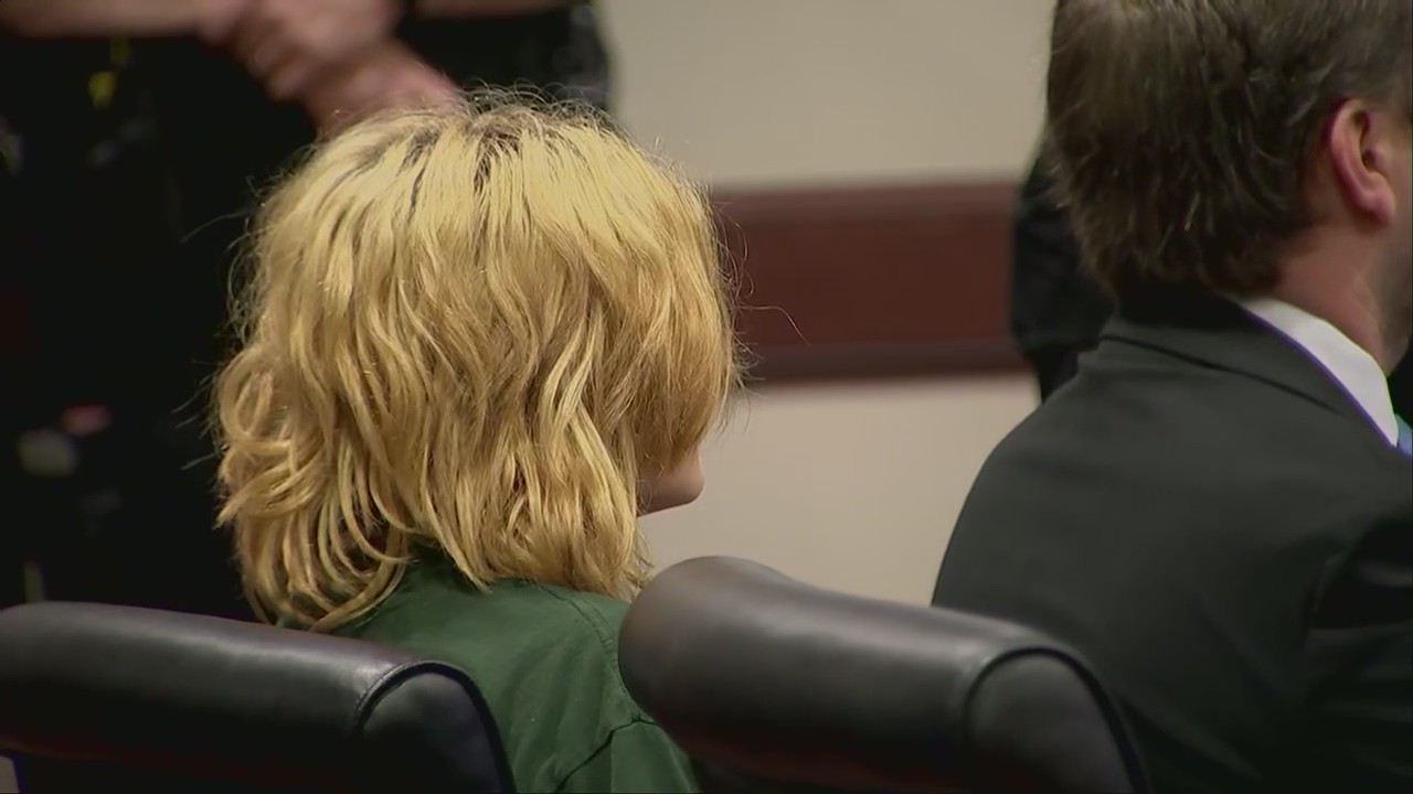 Apalachee High School shooting suspect Colt Gray makes first court ...