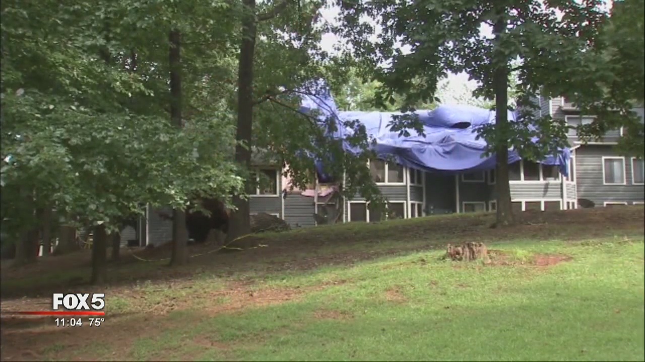 Fallen tree at apartments | FOX 5 Atlanta