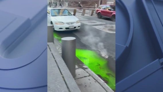 Green 'slime' puzzles New Yorkers