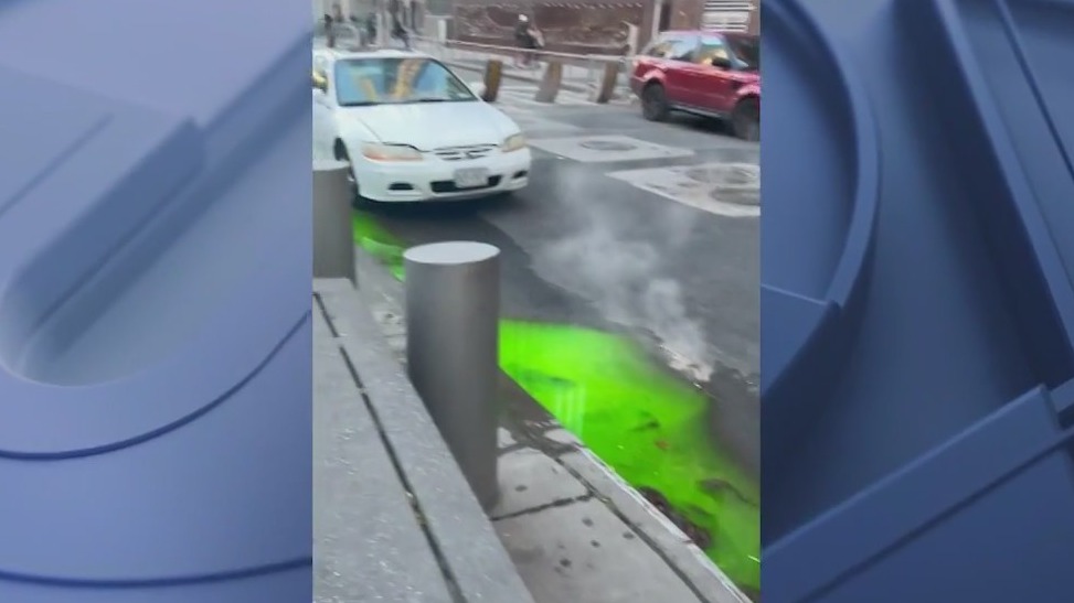 Green 'slime' puzzles New Yorkers