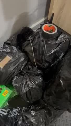 NYPD busts over $4M in in fentanyl and other drugs