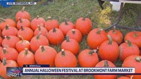 Annual Halloween Festival returns at Brookmont