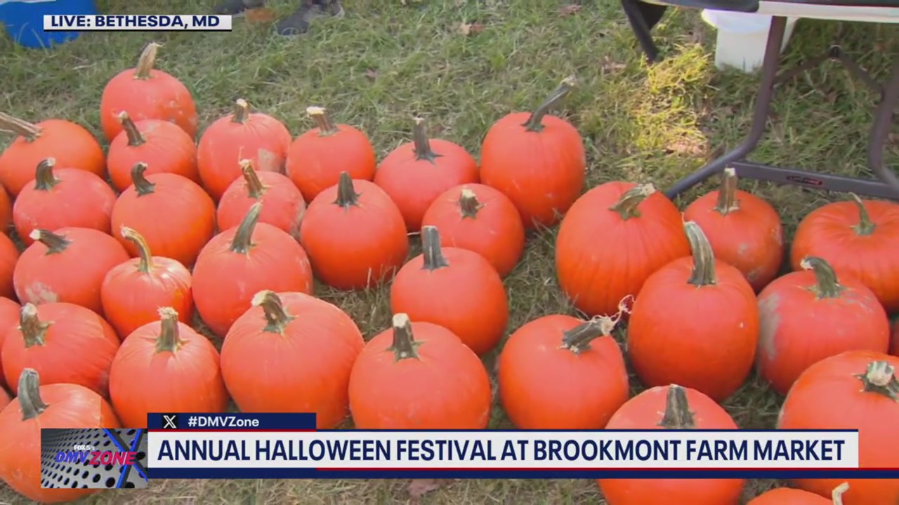 Annual Halloween Festival returns at Brookmont