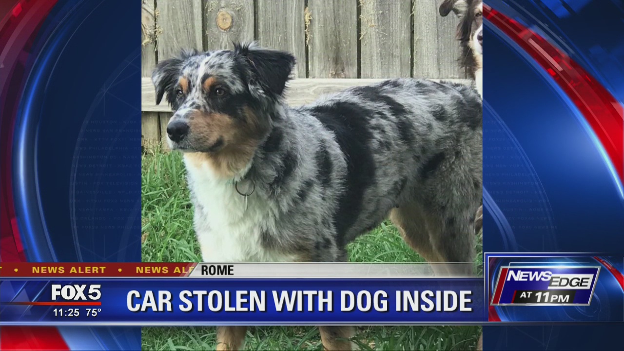 Car stolen with dog inside | FOX 5 Atlanta