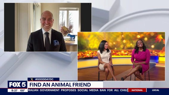 Five steps to handle and process big emotions