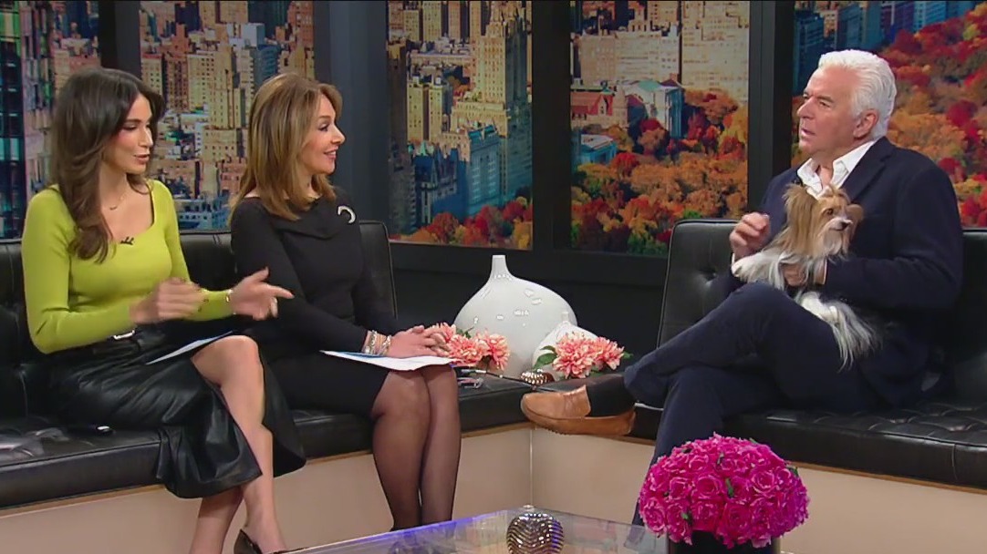 ?The National Dog Show? preview