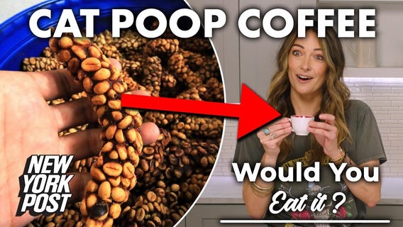 Cat poop coffee taste test will turn your stomach