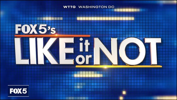 LION: November 26, 2024