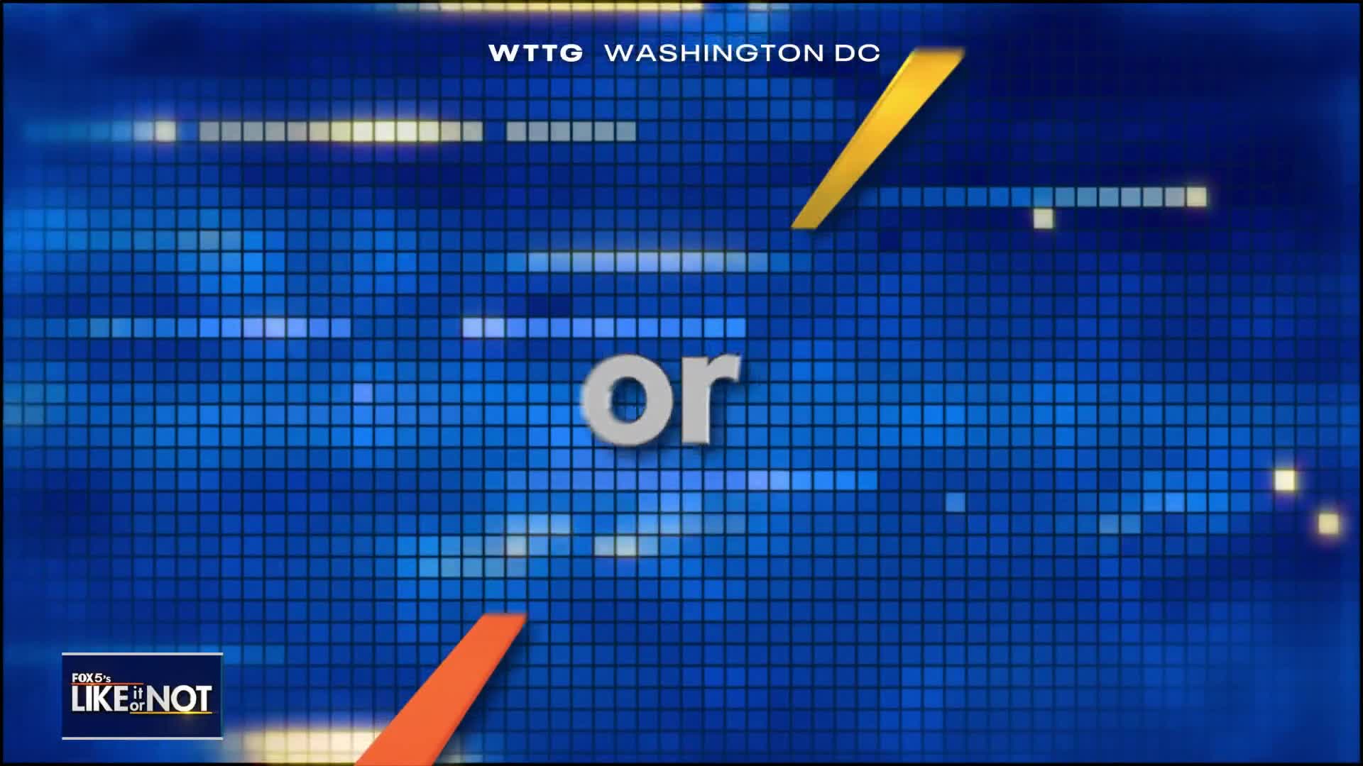 LION: November 19, 2024