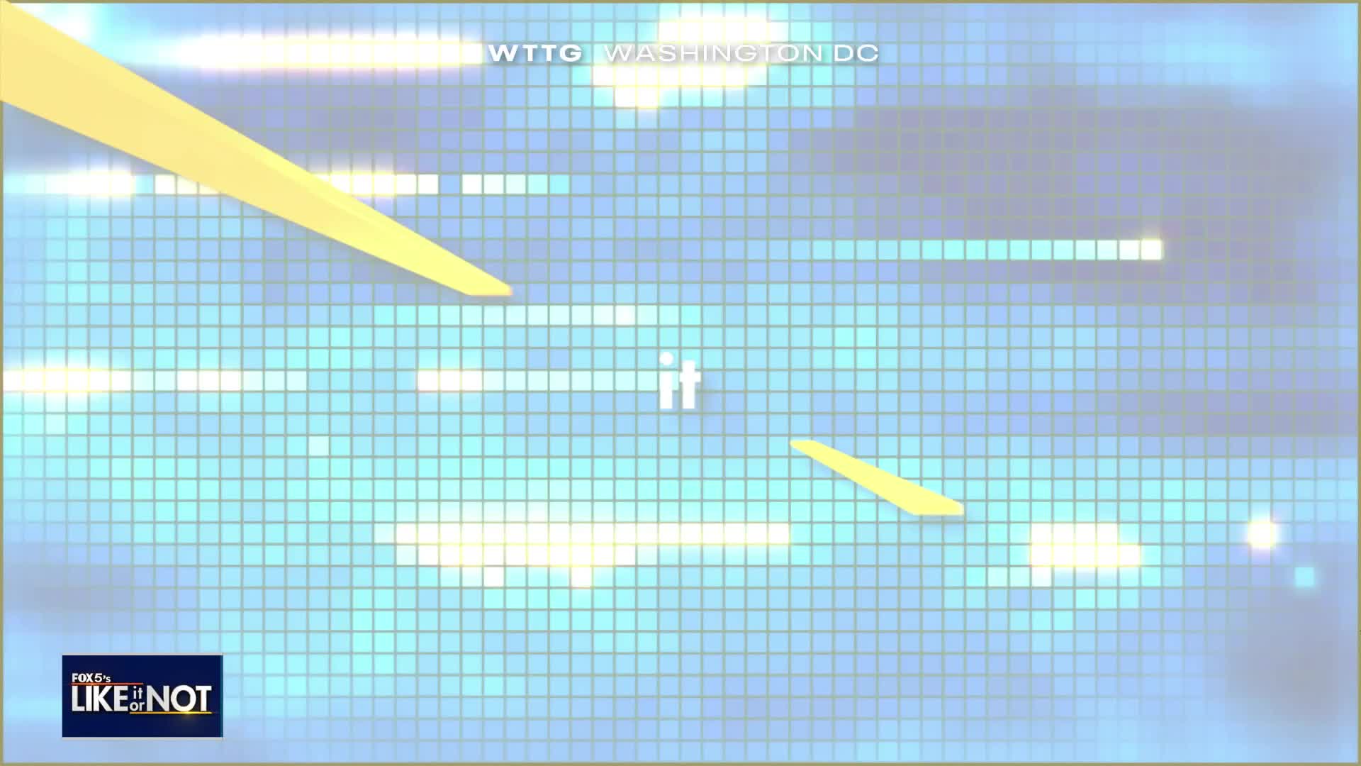 LION: November 25, 2024