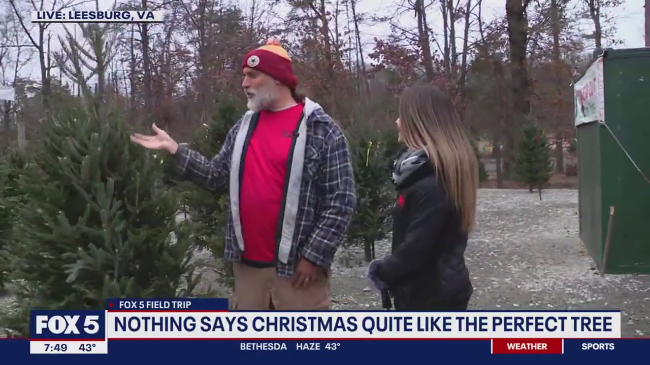 How to pick the perfect Christmas tree | FOX 5 DC