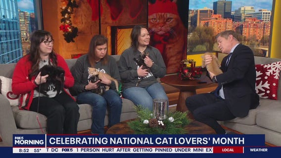 Celebrating National Cat Lovers' Month with Middleburg Humane Foundation