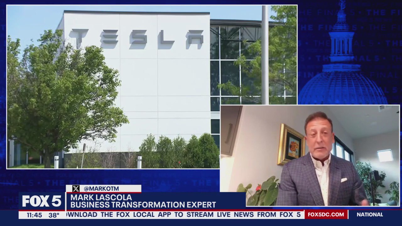 What will DOGE do for you?