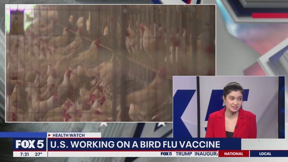 Potential bird flu vaccine and the new challenges it faces
