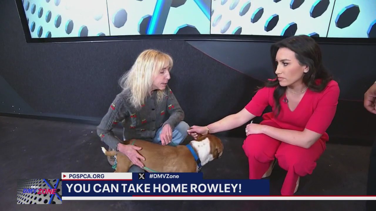 FOX 5's DMV Zone - TAKE HOME THURSDAY, MEET ROWLEY!
