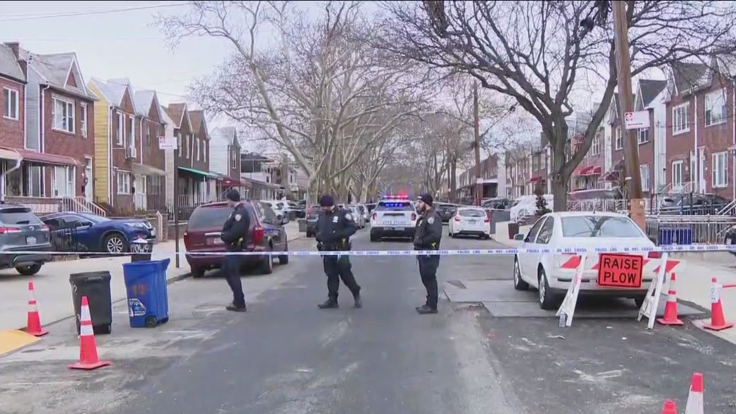 Brooklyn deadly assault