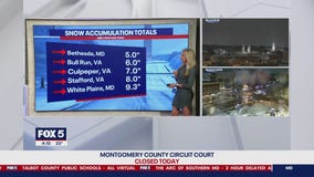 Snow totals after Tuesday's storm