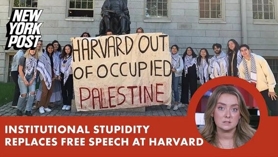 'Free speech replaced by stupidity in higher ed'