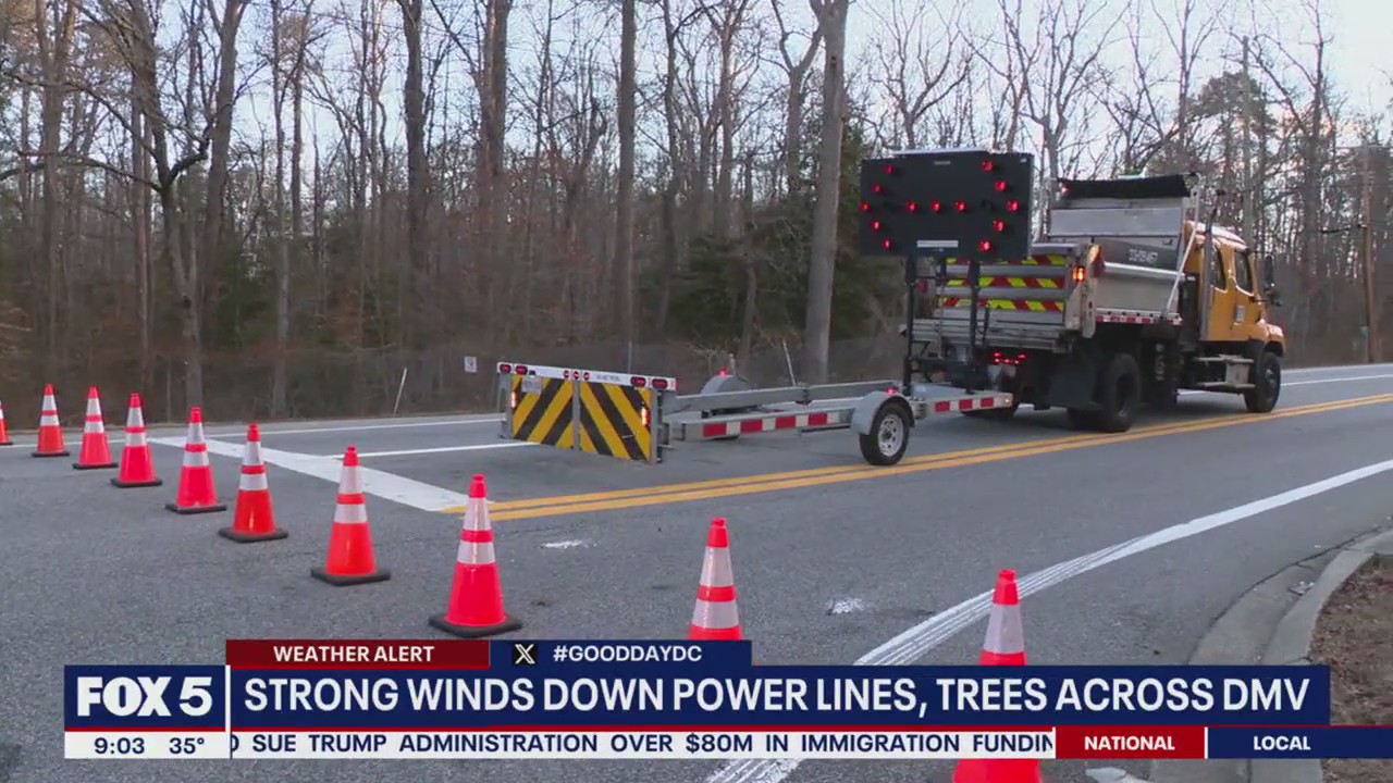 Cleanup continues after strong winds down power lines, trees | FOX 5 DC