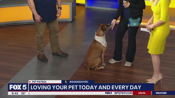 Loving your pet today and every day