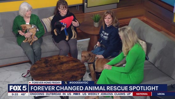 Forever Home Friday with Forever Changed Animal Rescue