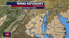 DC weather: Wind Advisory, Severe Thunderstorm Watch issued for parts of DMV